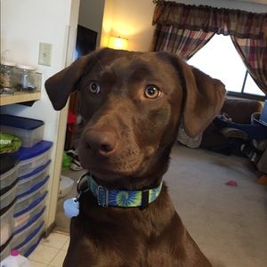 Meet your Posher, Melissa